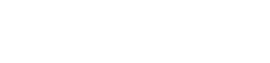 Roar AI Logo